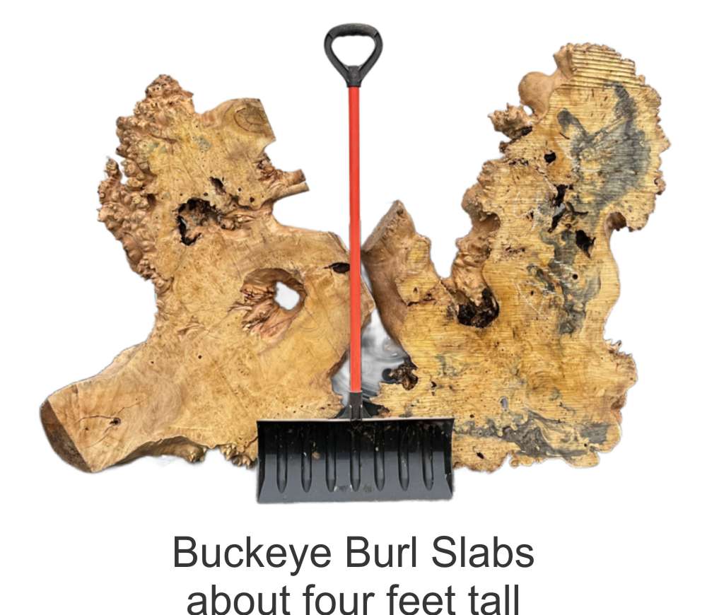Buckeye Burl slabs.jpg