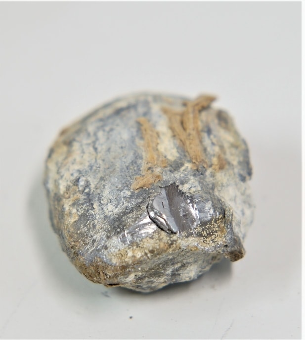 bullet6a.jpg