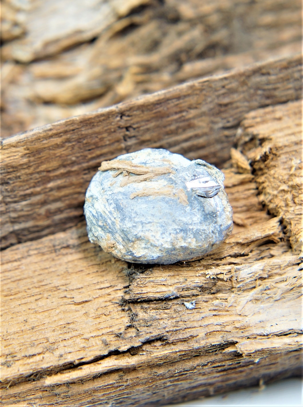 bullet7a.jpg