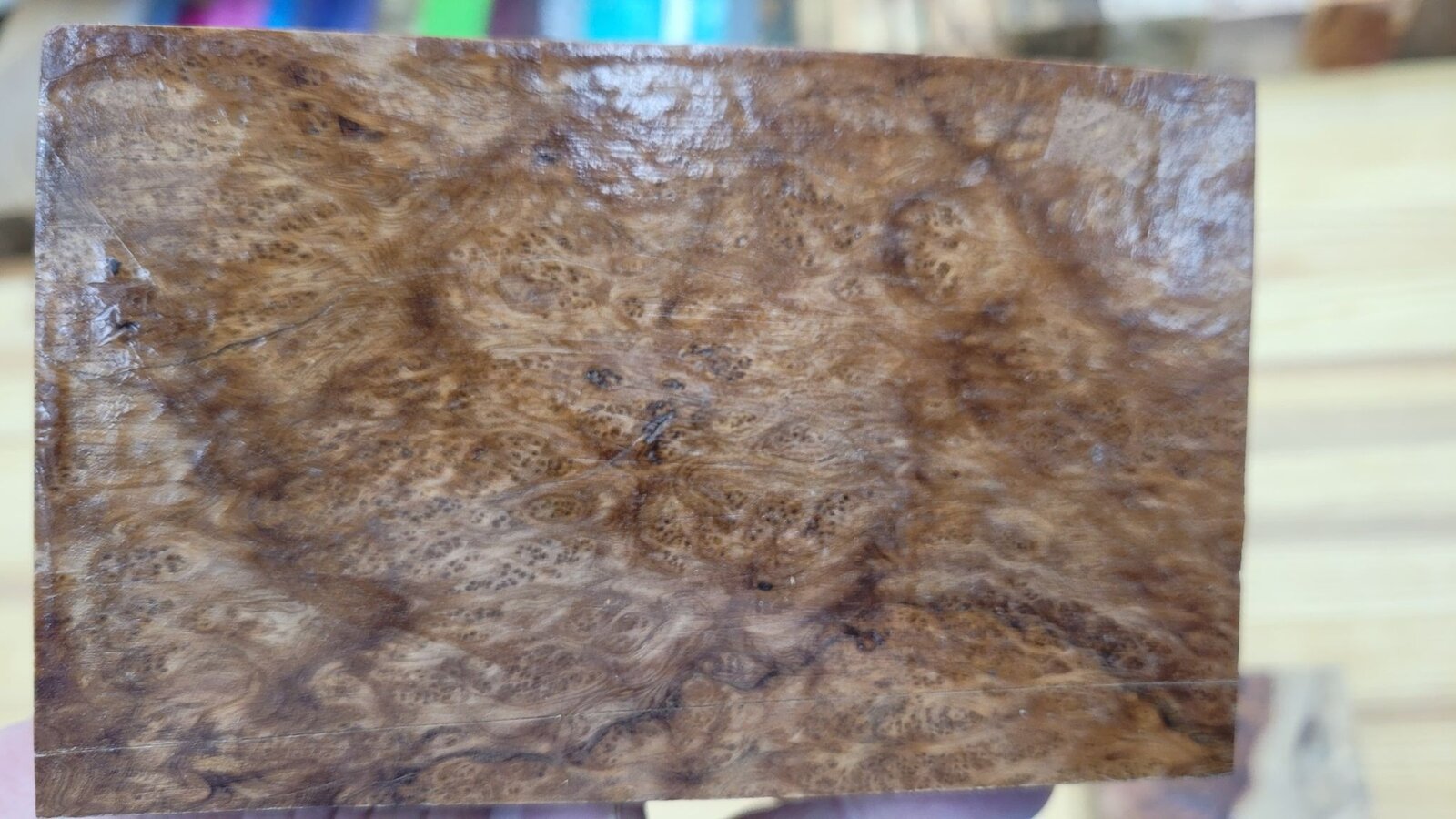 Burl 6.jpg