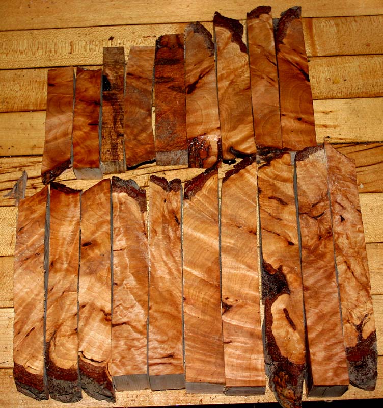 Burl lot 002.JPG