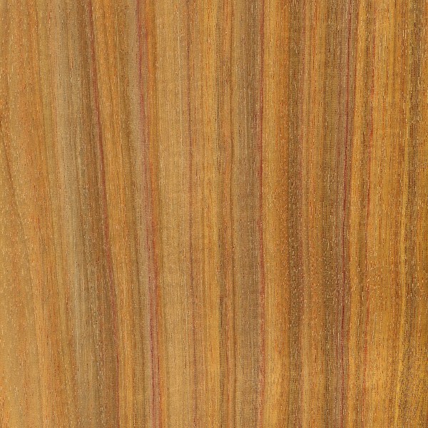 canarywood-jh[1].jpg