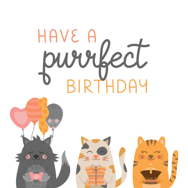 Cat Birthday Jeff.jpg