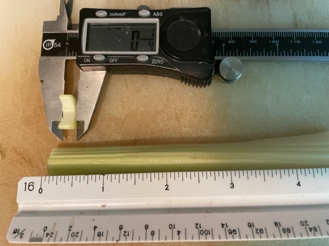 celery.jpg
