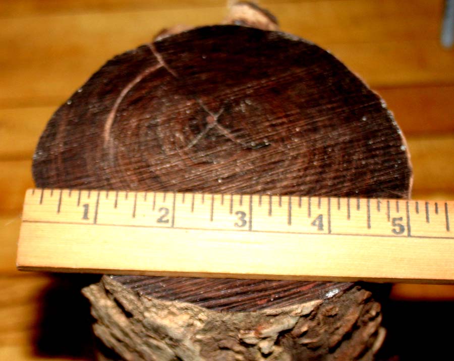 Cocobolo log 002.JPG