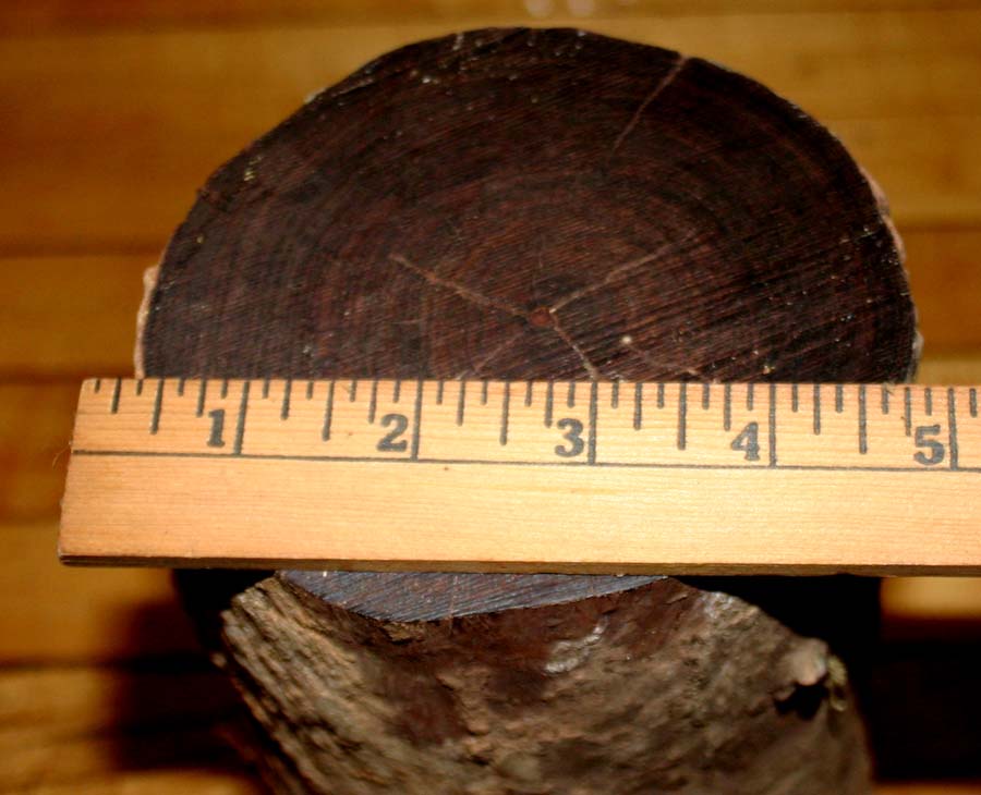 Cocobolo log 003.JPG