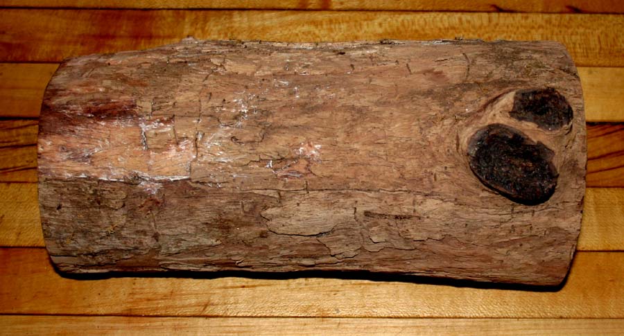 Cocobolo log 004.JPG