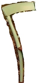 crop 1.jpg