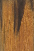 desert-ironwood-134x200.jpg