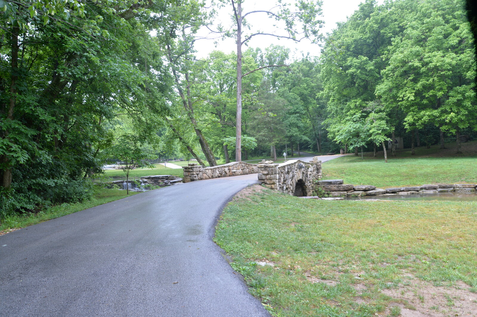 DFE_8055.JPG