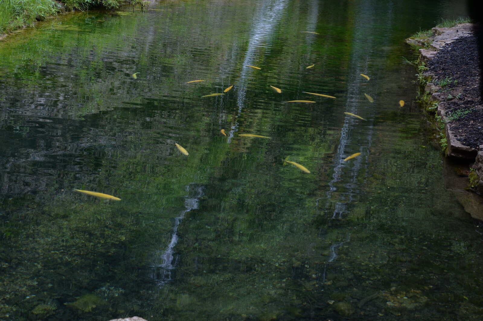 DFE_8072.JPG