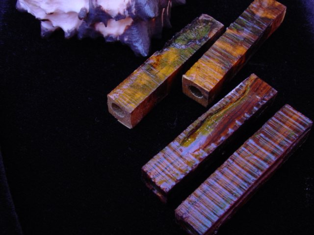 DSC09395.jpg