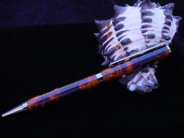 DSC09403.jpg