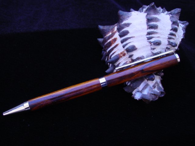 DSC09404.jpg