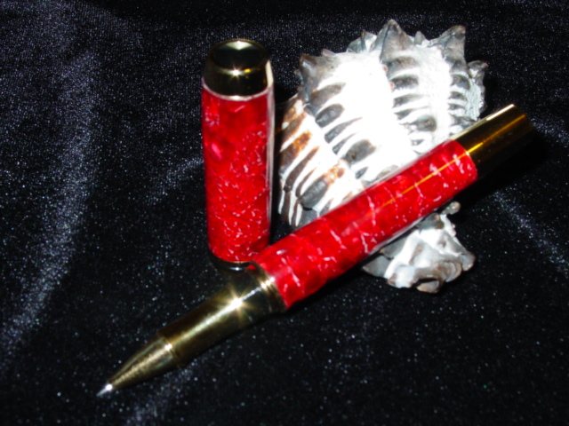 DSC09796.jpg