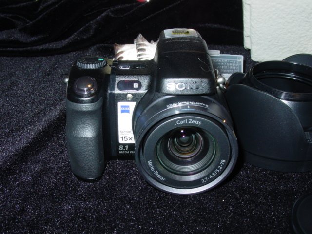 DSC09798.jpg