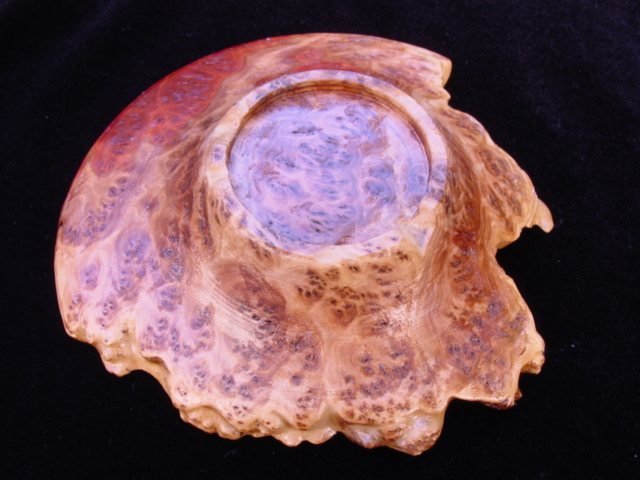DSC09857.jpg