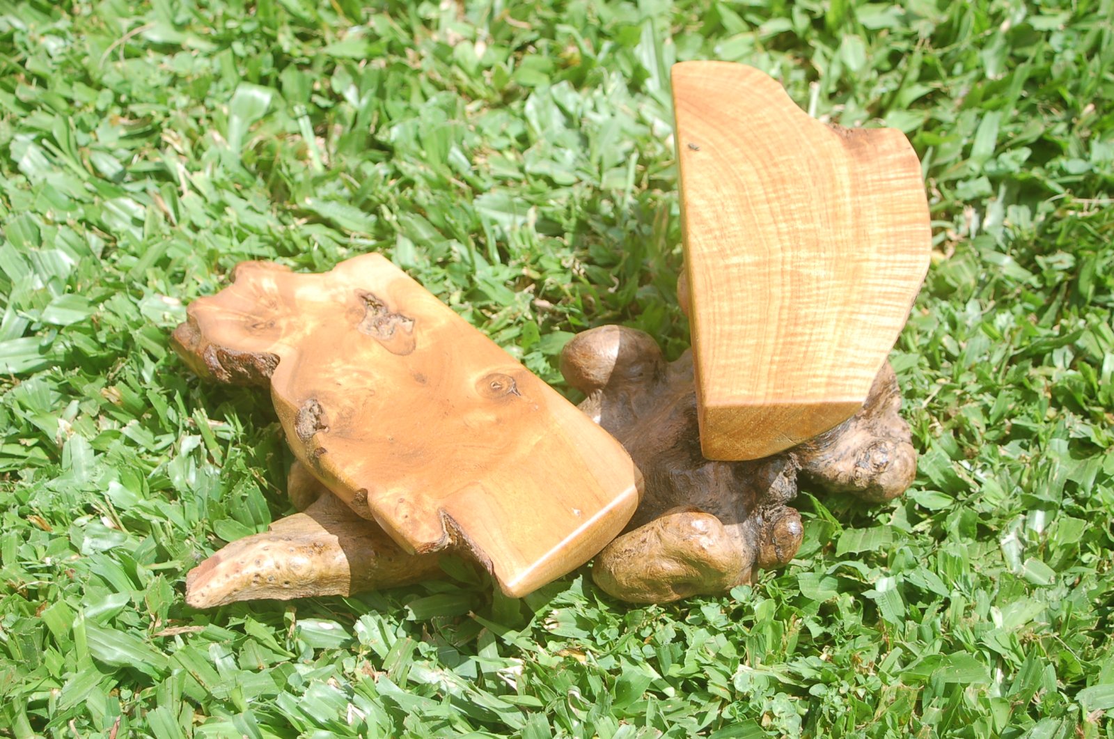 DSC_0032.JPG