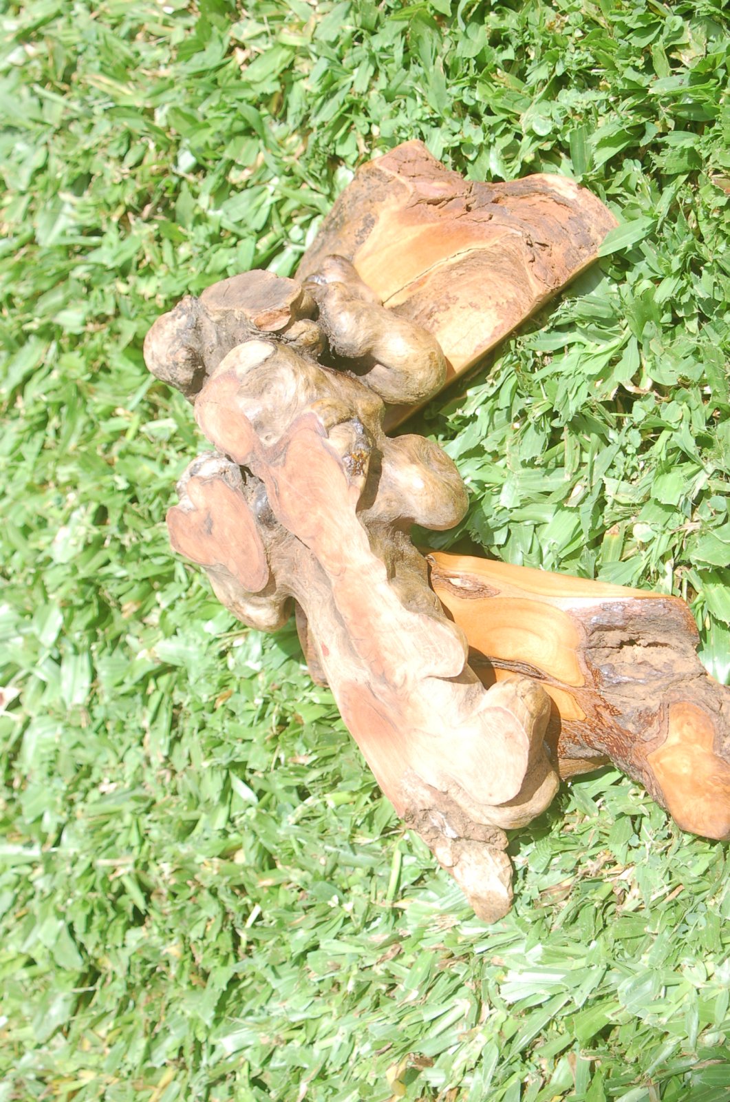 DSC_0037.JPG