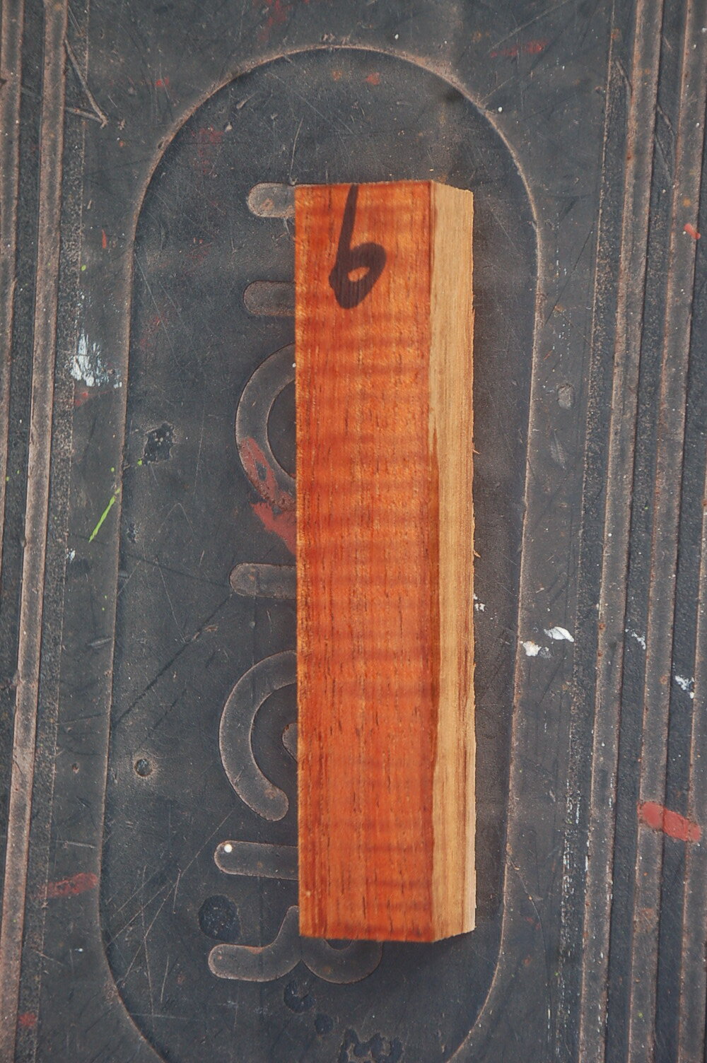 DSC_3621.JPG