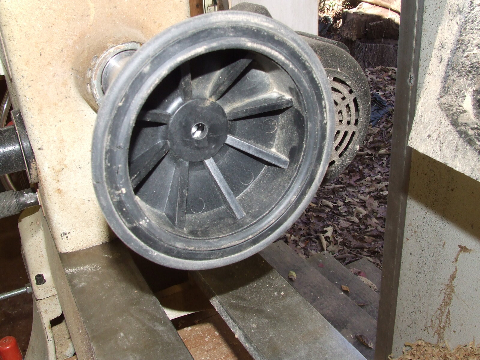 DSCF5115.JPG