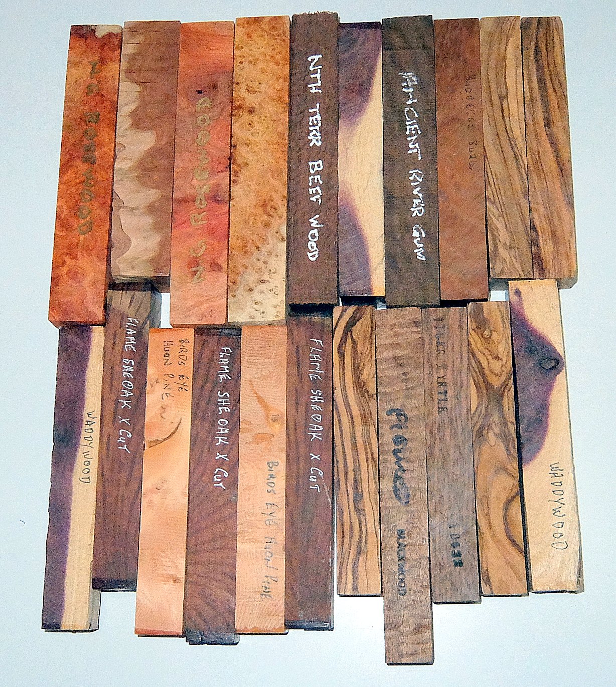 DSCF9578.JPG