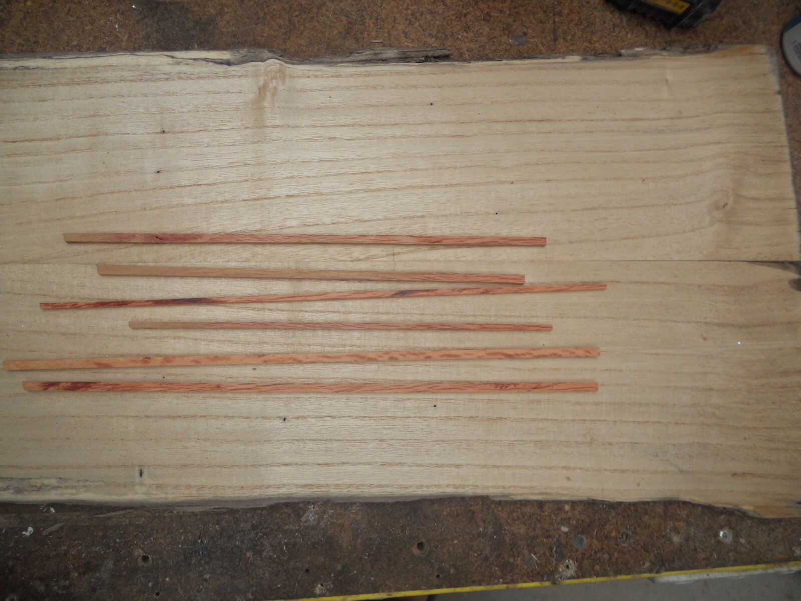 DSCN0751.jpg