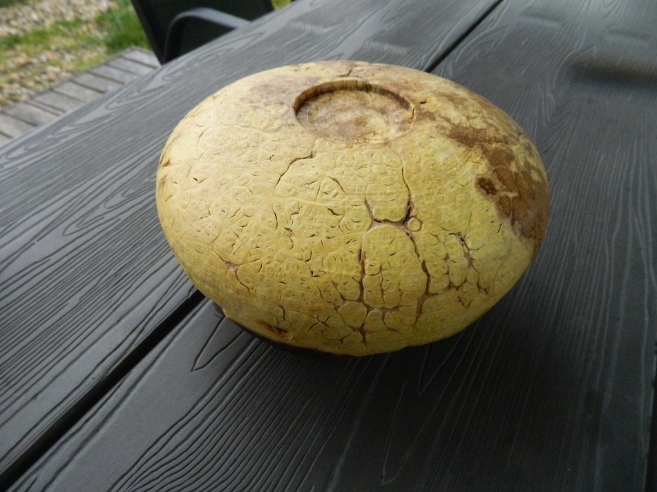 DSCN7799.JPG
