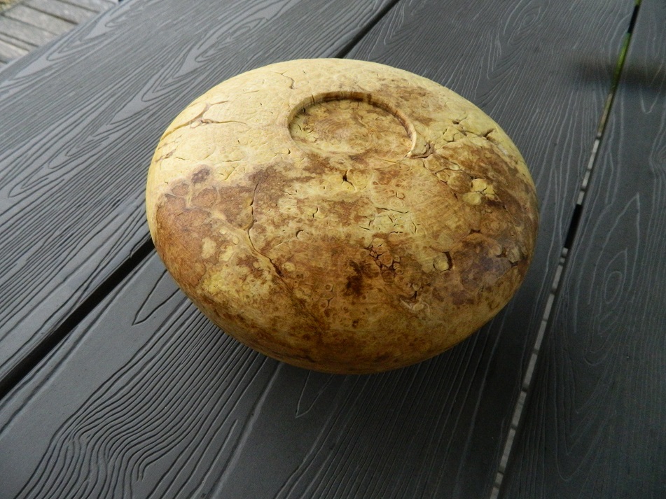 DSCN7800.JPG