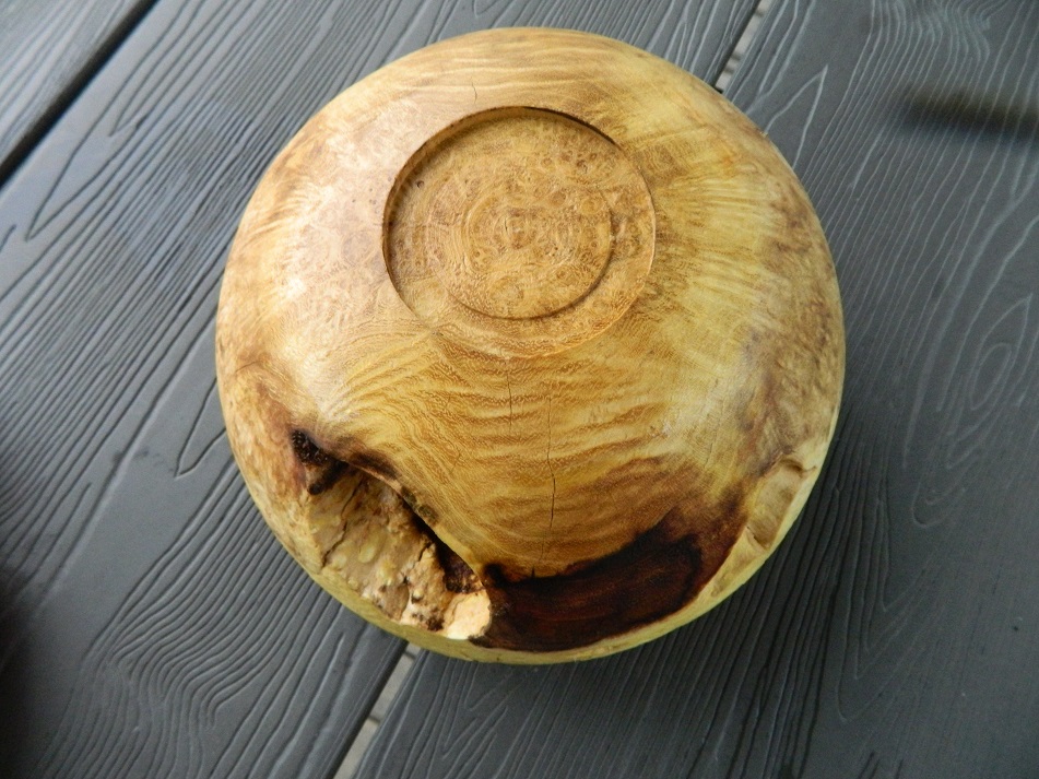 DSCN7802.JPG
