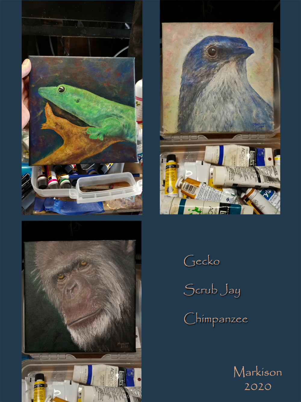 Gecko,ScrubJay,Chimpanzee,markison,2020,1000px.jpg