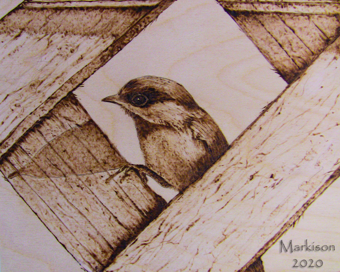HazelBackedChicadeeMarkisonPyrography.jpg