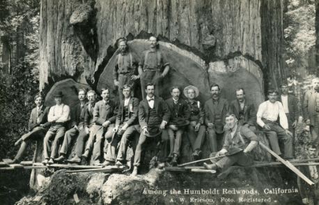 Humboldt County CA.PNG