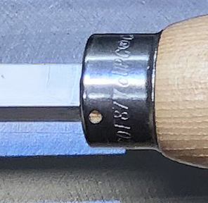 IMG_1019 Cropped Zoom.jpg
