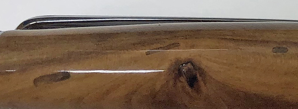 IMG_1223 Cropped Section.jpg