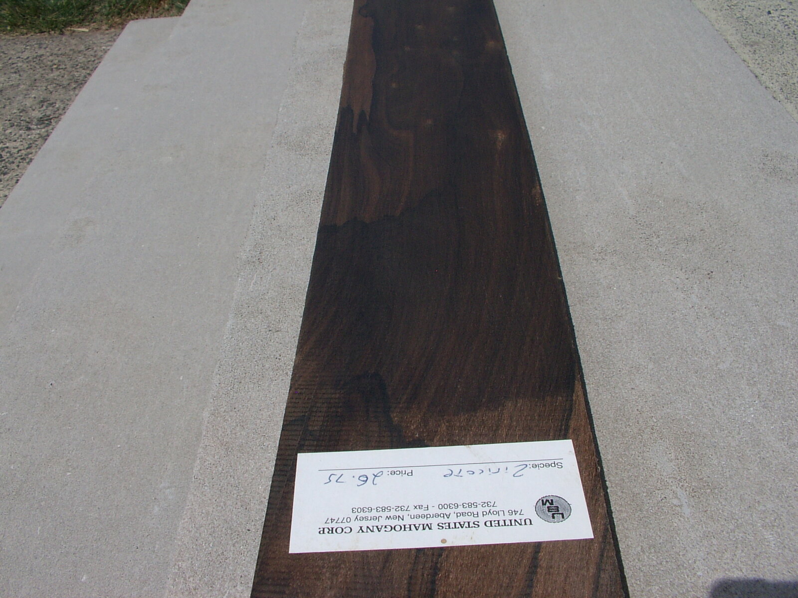IMGP0285.JPG