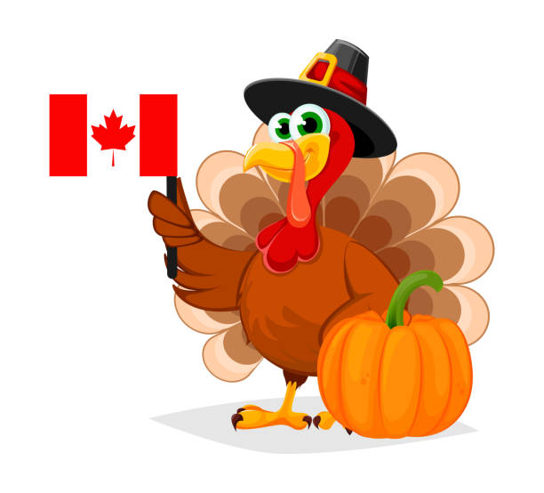 istockphoto-1167963447-612x612.jpg