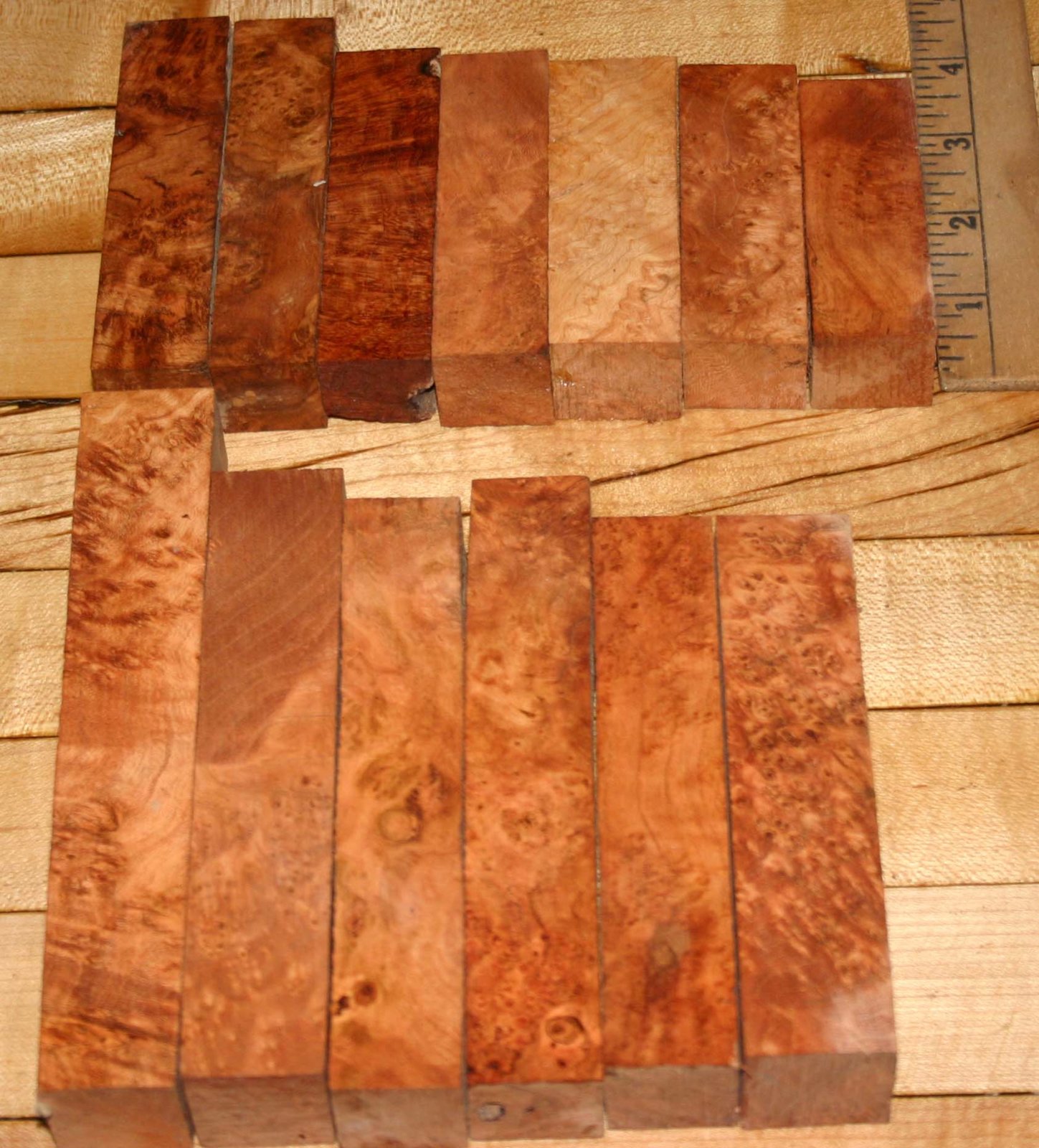 jumbo cherry2 001.JPG
