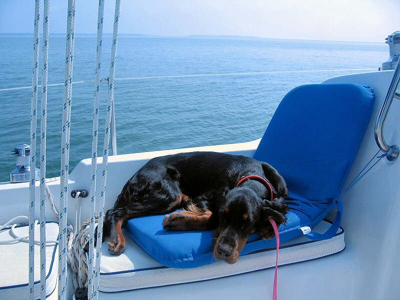 napping%20sailor2.jpg