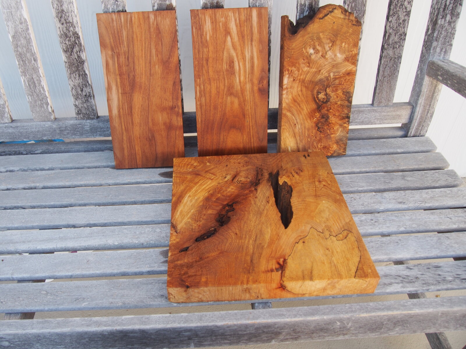 P1010002 - Copy (7).JPG
