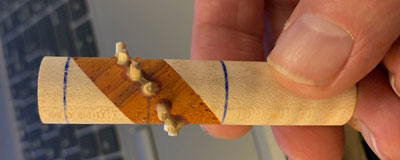 p12.21.jpg