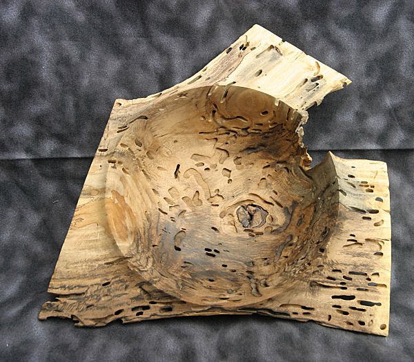 paloverde4.jpg