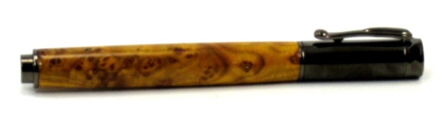 pen 20a.jpg