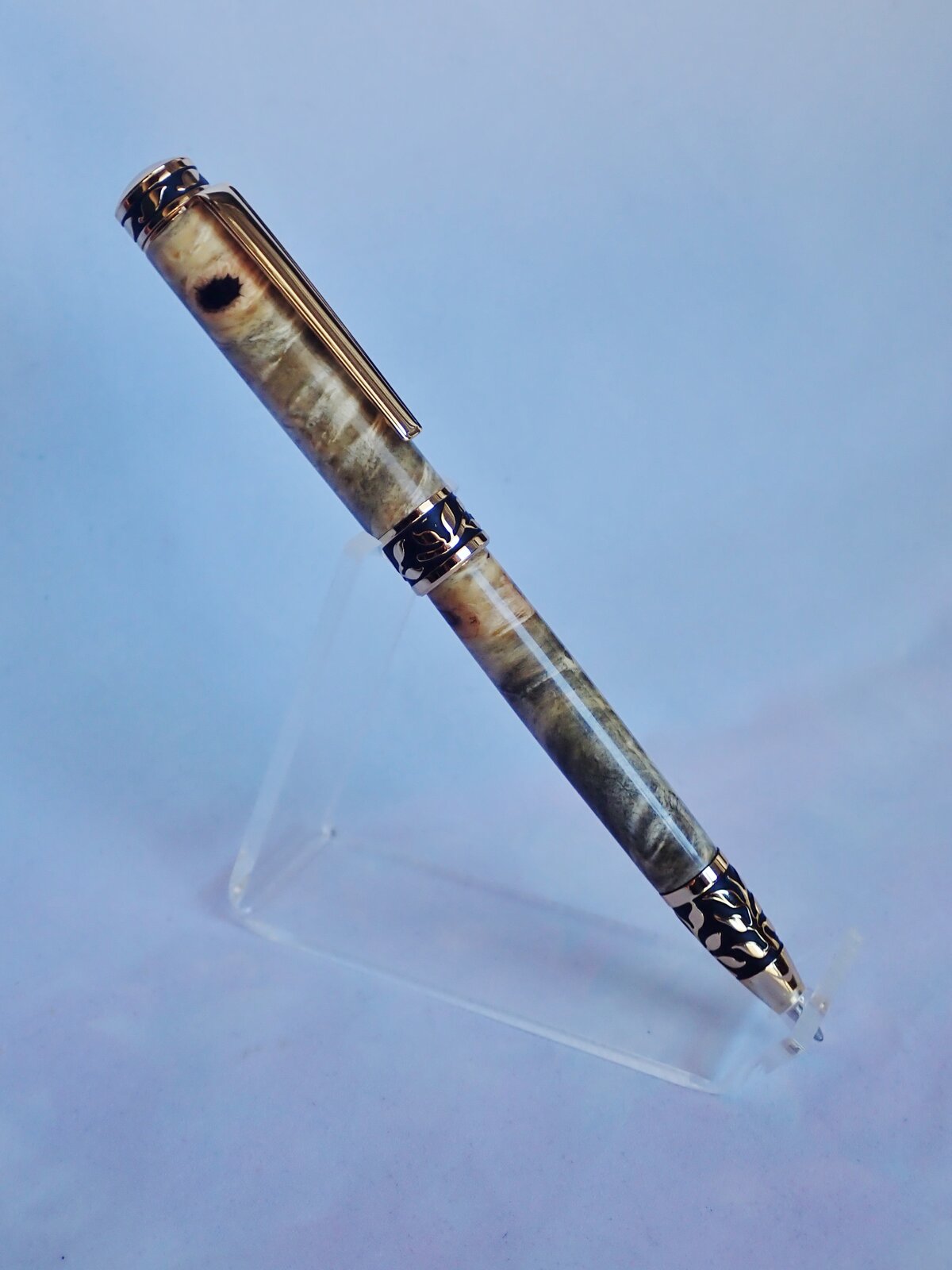 pen 6a.JPG