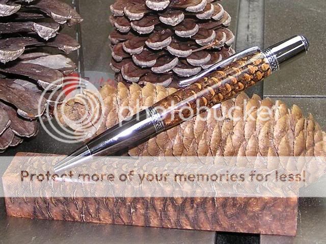 pinecone_1.jpg