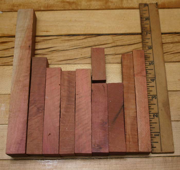Pink Ivory 003.JPG