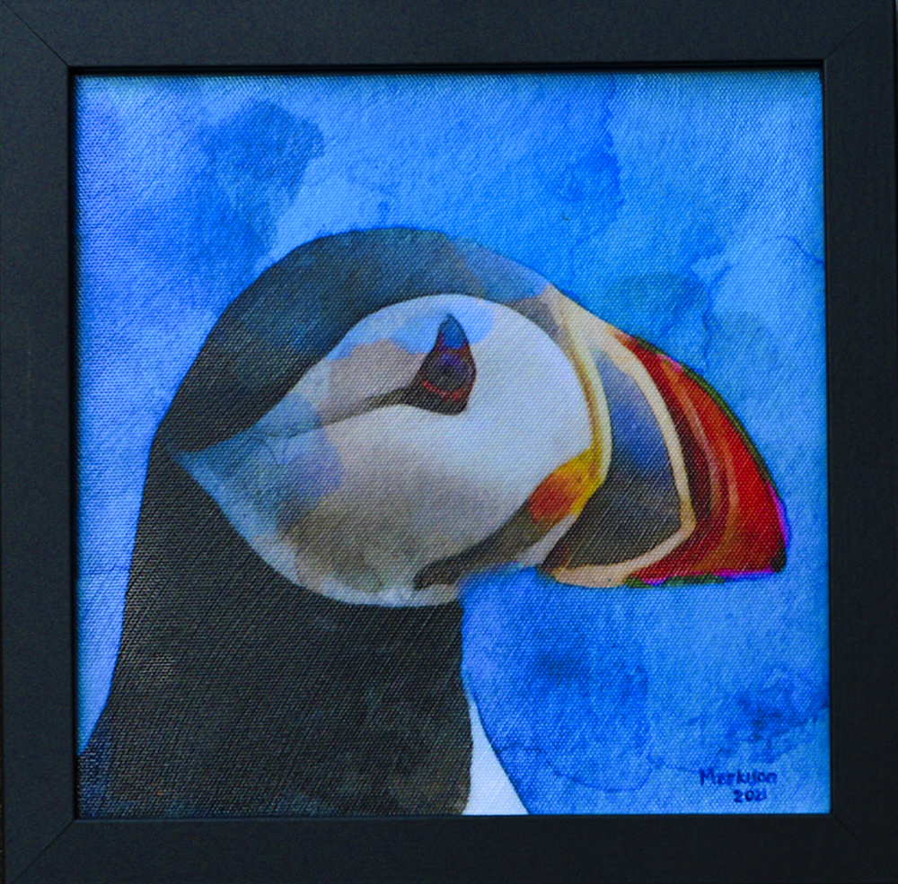 Puffin,robertmarkison,acrylics,smallpic.jpg