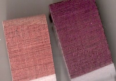 purpleheart2.jpg
