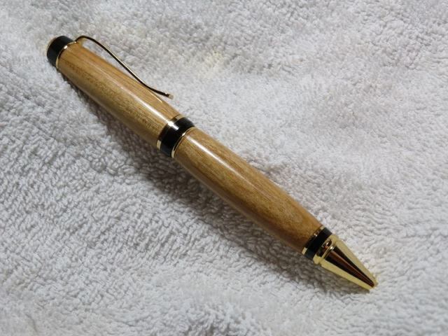 pw pen 21b.jpg