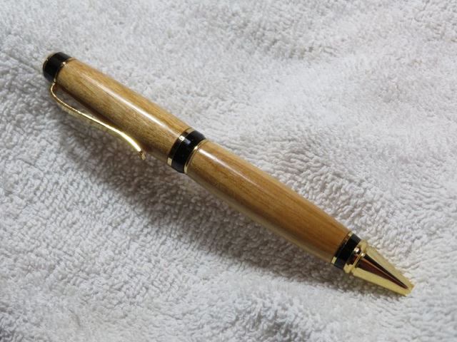 pw pen 21c.jpg